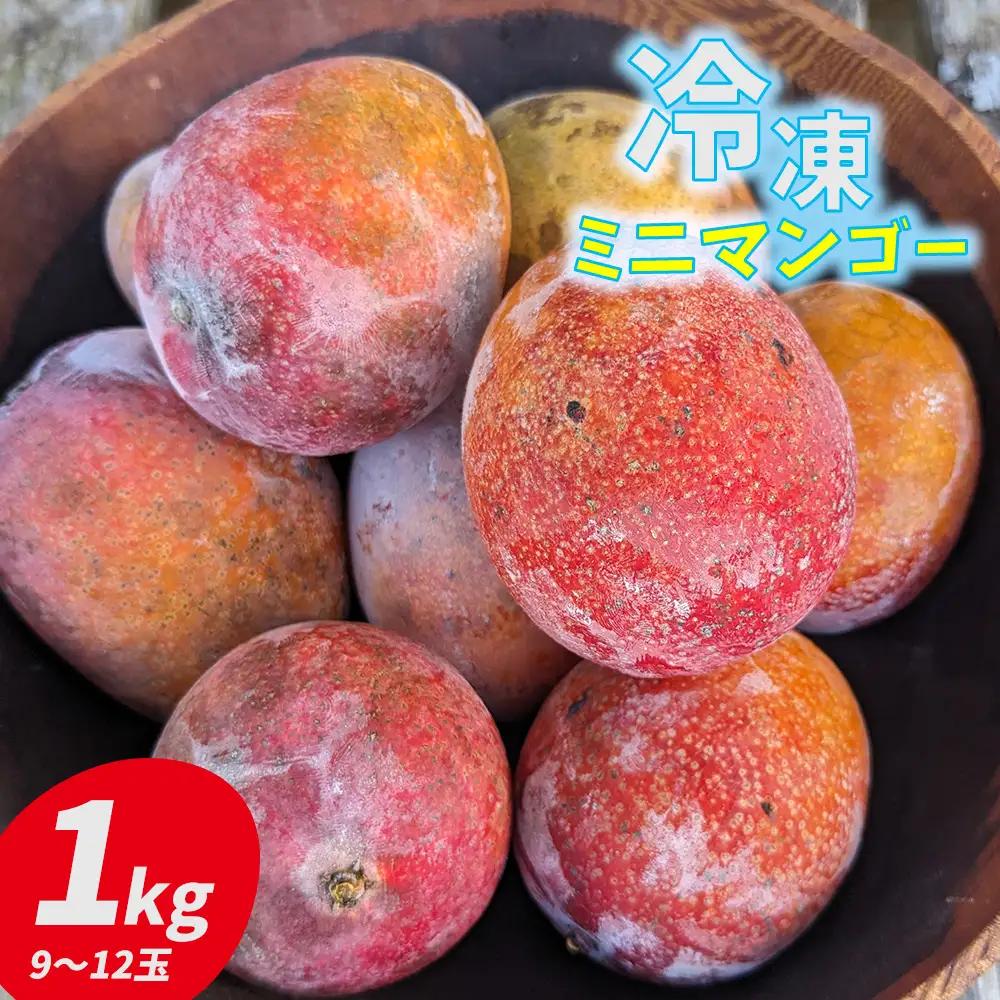 マンゴー 久米島赤鶏牧場 完熟！冷凍ミニマンゴー1kg（9～12玉） アーウィン