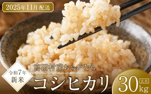 【予約受付】【令和７年米】【新米】長野県宮田村産コシヒカリ／玄米／30kg・60,000円／11月配送