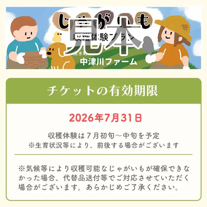 湧水町じゃがいも収穫体験チケット(1列分) 収穫 収穫体験 体験 チケット ジャガイモ 芋 招待券 レジャー 観光 旅行 お土産 おみやげ 持ち帰り 自然 農業体験【中津川ファーム】_y593
