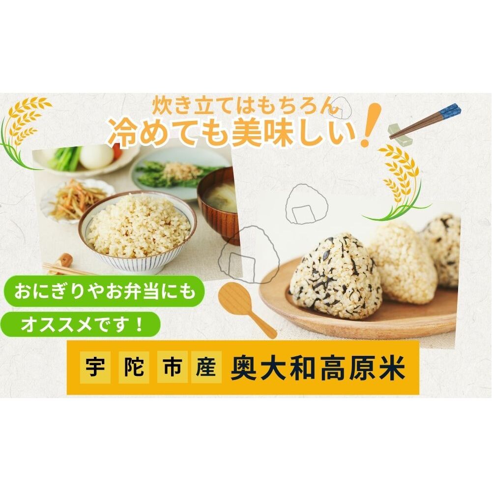 【定期便12回】特別栽培米 ＜令和7年産 白米 4.25kg＞ / ふるさと納税 栽培期間中農薬不使用 米 お米 こめ コメ 国産 新米 玄米 農家やまおか 奈良県 宇陀市
_イメージ4