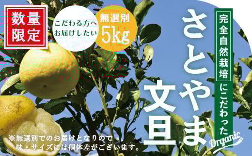 早期受付 期間限定 数量限定 しまんと流域　栽培期間中農薬・化学肥料不使用！さとやま文旦5kg（無選別） 国産 ご当地 フルーツ 果物 文旦 ぶんたん ブンタン 栽培期間中無農薬 無農薬 無選別 柑橘 高知 南国 四万十 しまんと 産地直送 自然 自然栽培 四万十川 自然 オーガニック 限定 予約 先行 【2026年2月下旬～3月下旬配送】25-505