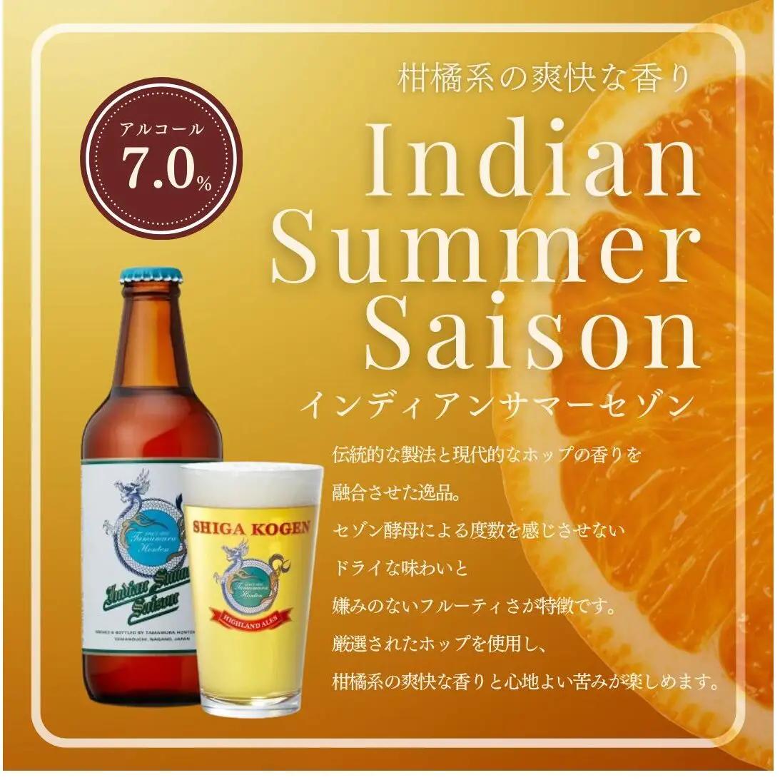 クラフトビール 志賀高原ビール 12本 玉村本店 クラフトビール