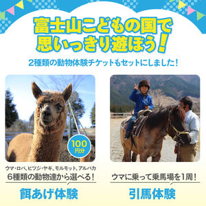 富士山こどもの国 入園券+乗物券&動物体験セット 3名 餌あげ体験 引馬体験 動物と触れ合う アスレチック マウンテンバイクコース カヌー体験 変わり種自転車 お出かけ 思い出 旅行 トラベル 静岡県