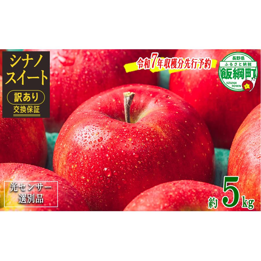 りんご ５Kg 【令和７年度先行予約】 果物 訳あり シナノスイート 長野県 感謝りんご 交換保証 規格外 傷あり ５キロ (１２から２５玉)  R7年10月頃から順次発送  飯綱町 [1205]