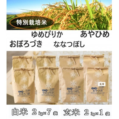 【2024年10月下旬～順次発送】あやひめ・おぼろづき・ななつぼし・ゆめぴりか計16kg_01765【1155636】