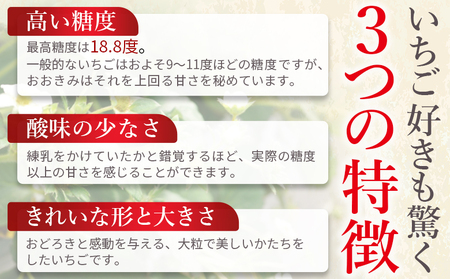 ＜高級いちご「おおきみ」（9～12粒×1パック約380g以上）化粧箱入り＞2025年1月上旬～4月末迄に順次出荷【 いちご イチゴ 苺 先行予約 甘い 大きい 果物 フルーツ 季節物 】【a0283_