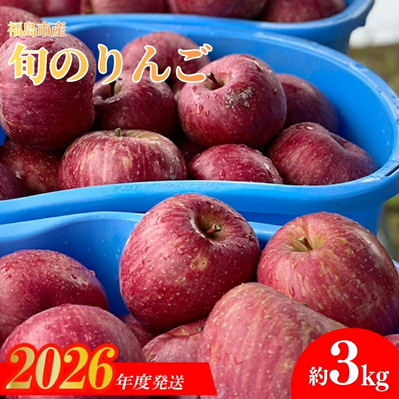 【ふるさと納税】No.0145 あづま果樹園 ふくしま 旬のりんご 約3kg 【2026年度発送】