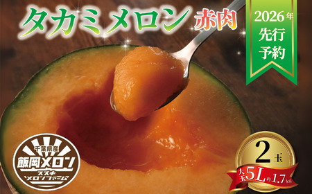 ＜2026年先行予約＞ メロン 赤肉メロン 【 2玉 】