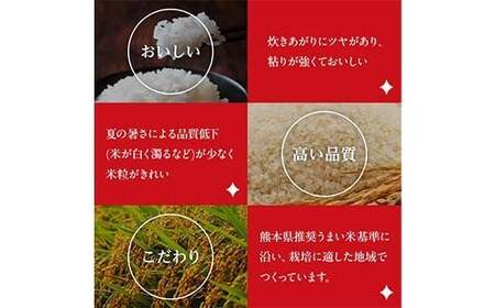 FK7-0269_【6カ月定期】【嘉島町産】くまさんの輝き 5kg 米 お米 コメ ごはん ご飯 食品 九州 熊本県 熊本 嘉島
