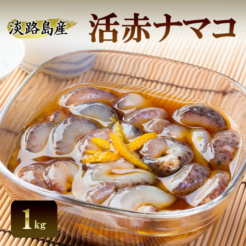 【ふるさと納税】淡路島産 活 赤ナマコ 1kg 赤なまこ 赤 ナマコ なまこ 食用 珍味 魚介 海鮮 海の幸 刺身 お刺身 おつまみ つまみ 酒の肴 淡路島 洲本市　お届け：2026年3月下旬まで　お届け：2026年3月下旬まで