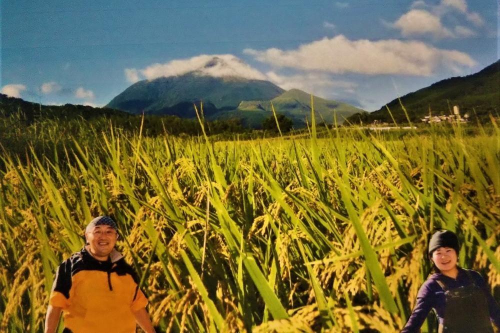 【精米】湯布院の旅館の板場さんからも認められた美味しいお米（雄三の米）5kg