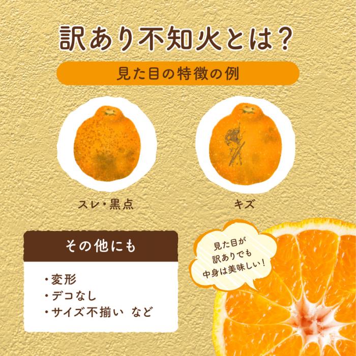 【先行受付】＜訳あり＞瀬戸内 島の不知火 約5kg 白鷺農園《2026年2月下旬～4月上旬頃出荷》 デコポン と同品種  旬 柑橘 フルーツ 果物 しらぬい デコポン わけあり 規格外 不知火 164