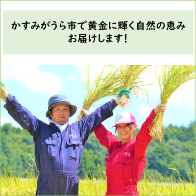 2023年9月発送開始『定期便』お米ソムリエ厳選!茨城県産ミルキークイーンのお米20kg 全12回