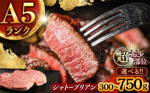 【唯一無二の贅沢！】長崎和牛 A5 シャトーブリアン 300g(150g×2) / 希少部位 ヒレ ひれ ヒレステーキ ステーキ すてーき しゃとーぶりあん / 諫早市 / 野中精肉店 [AHCW11