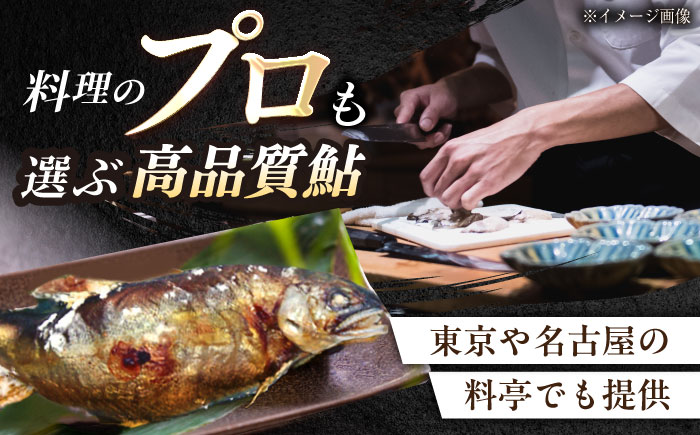 ＜冷凍＞天然あゆ 19～22cm 5匹入り（約500g） / あゆ 天然 鮎 冷凍 / 恵那市 / 恵那物産館 [AUFS009]