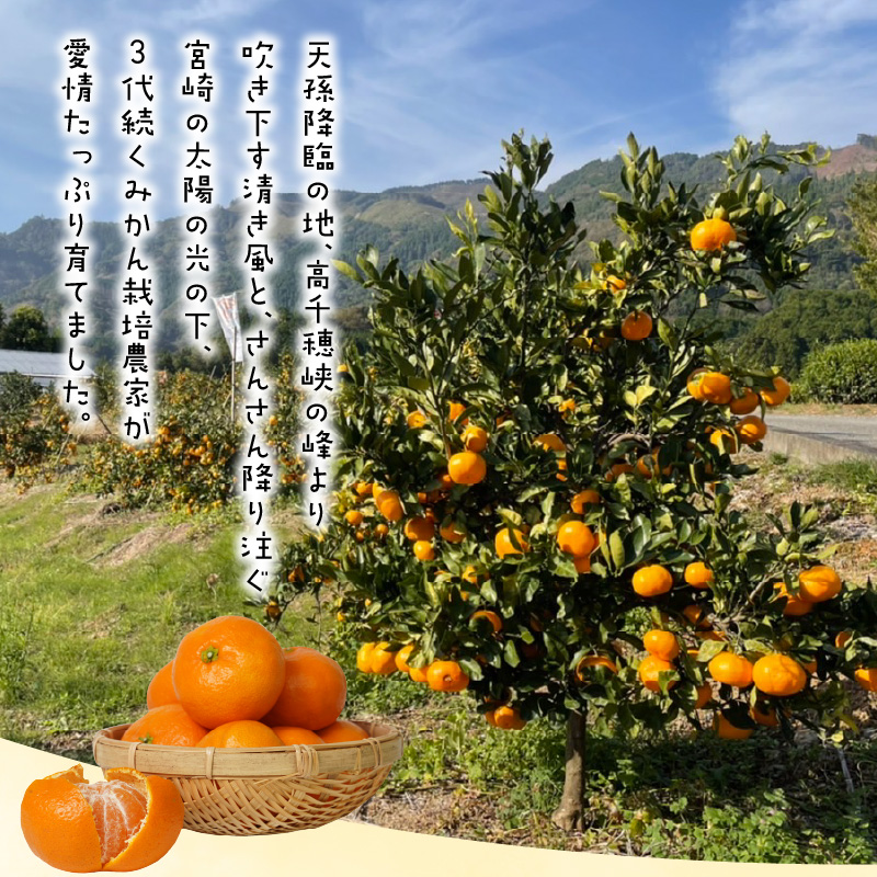 青島みかん 10kg N0132-YB351