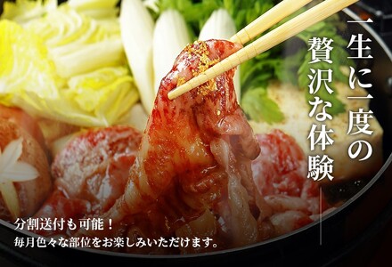 【和牛セレブ】能登牛 半頭買い（一括配送） wa111-047