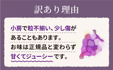 【訳あり】【数量限定】【甘い！】ナガノパープル 約2kg（5～6房） ＜山田敦義＞ [CCX004]