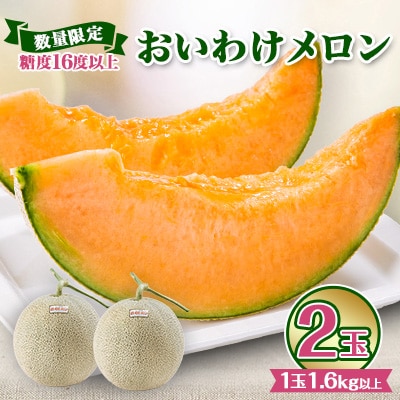 【数量限定】 おいわけメロン 糖度16度以上　1.6kg以上×2玉入【1082977】