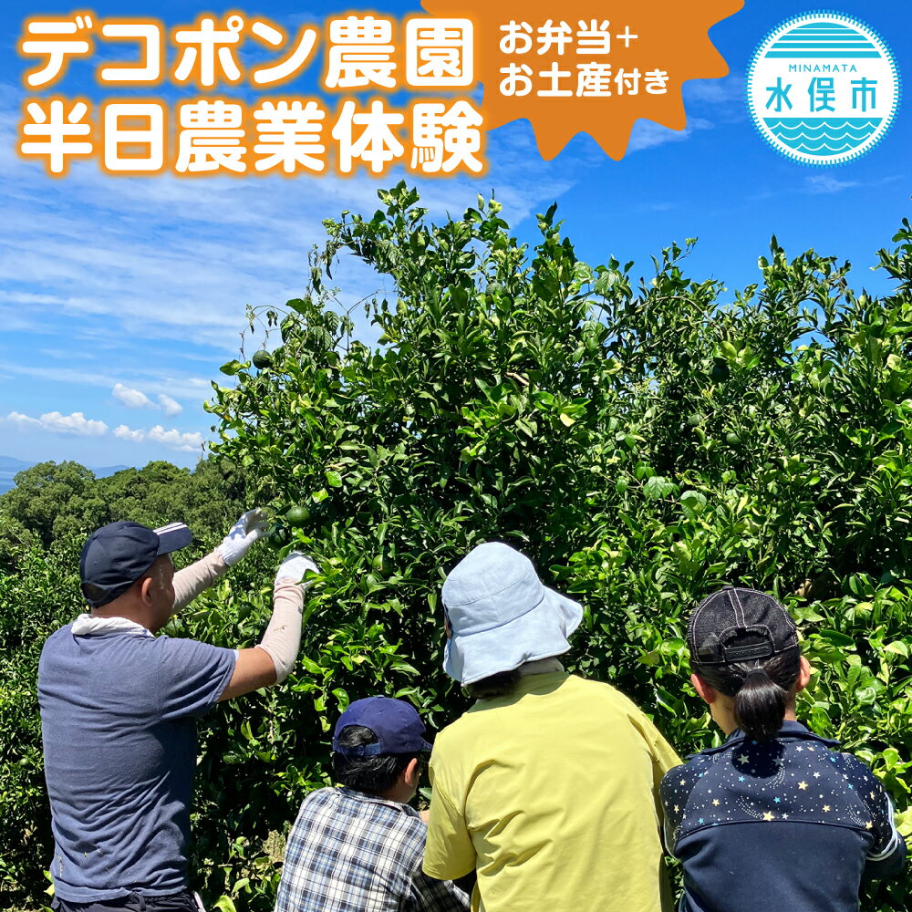 【ふるさと納税】デコポン農園農業体験 半日 お弁当＋お土産付き 大人2名 小中高生同伴3名まで無料 午前中 収穫 花摘み 摘果 剪定 草刈り 作業 体験 不知火 柑橘 みかん 蜜柑 ミカン フルーツ 果物 九州 送料無料 楽天スーパーSALE 9月開催