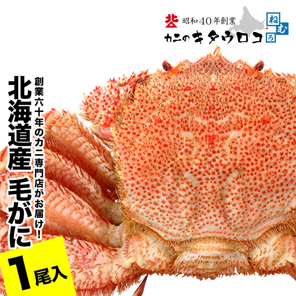 【ふるさと納税】【12/31決済分まで1月中配送】 毛がに550g〜650g前後×1尾 B-25027