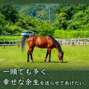 競走馬 競馬 引退後 余生支援 黒潮友馬会 1億5,000万円コース 高知県 須崎市