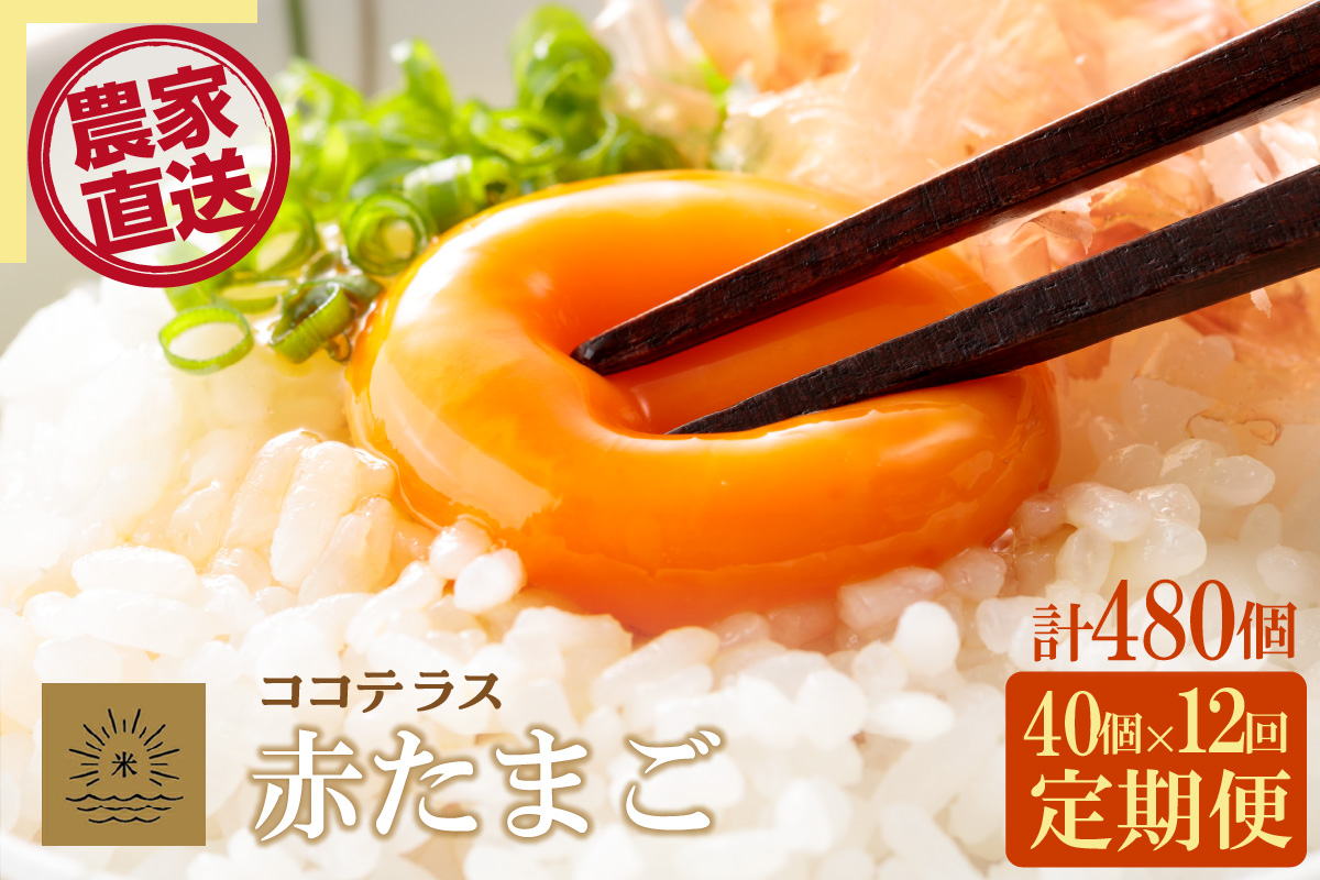 【12ヵ月定期便】ココテラスの明日（赤たまご）35個 + 5個保証（計40個）【JGAP認証】