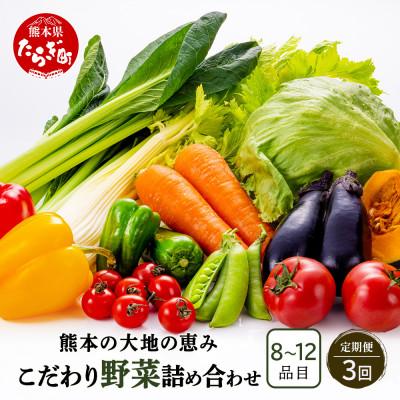 ふるさと納税 多良木町 【毎月定期便】熊本の大地の恵み 旬のこだわり野菜詰め合わせセット 8〜12品(3〜4名様向け)全3回