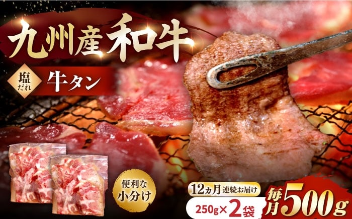 
            国産牛タン定期便【12回定期便】九州産和牛の牛タン約500g（約250g×2パック）国産 牛タン和牛長与町/岩永ホルモン [EAX087] 国産 牛肉 和牛 タン 牛タン 塩だれ牛タン 塩ダレ 牛たん塩 味付き ぎゅうたん ギュウタン 薄切り スライス 味付き 塩 焼肉 焼き肉 冷凍 焼くだけ 簡単調理 小分け 真空 定期便 ていきびん 定期 毎月 届く
          