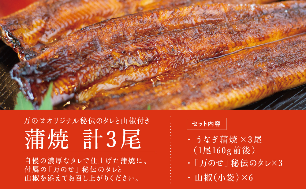 鹿児島県産 うなぎ蒲焼 3尾 セット うなぎ専門店「万のせ」ジューシー スタミナ ウナギ 鰻 蒲焼き 国産 ギフト うな重 たれ ひつまぶし 山椒 冷凍 簡単調理 贈り物 お取り寄せグルメ 冷凍 鹿児