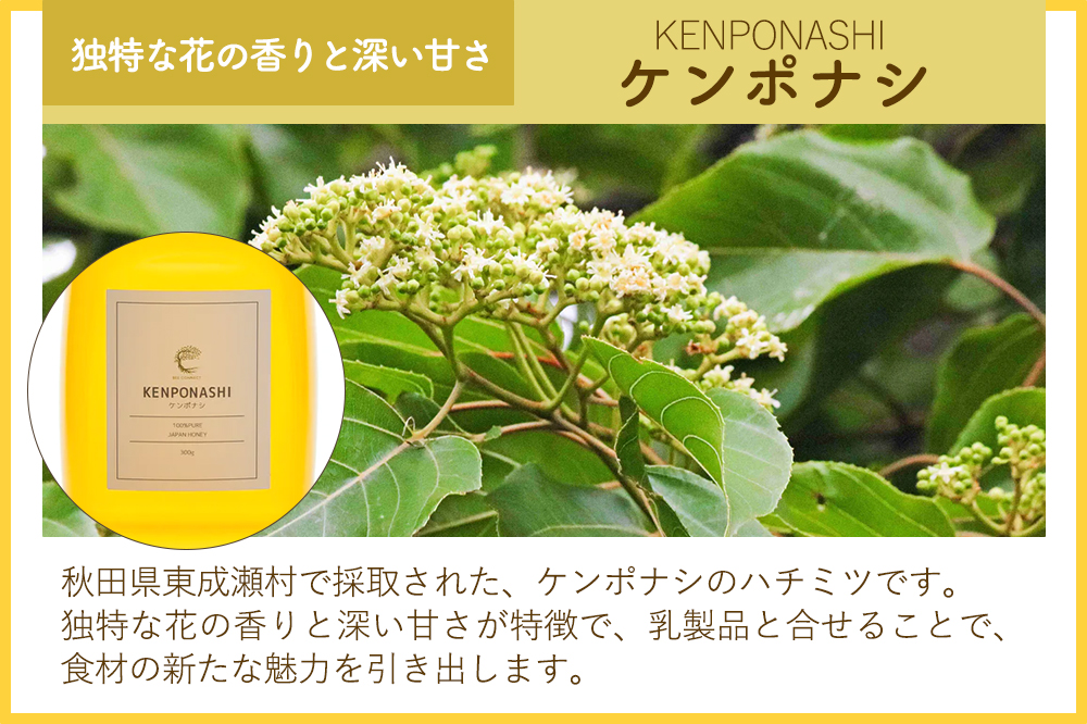 はちみつ2個セット（MARRONNIER・KENPONASHI ガラスびん）300g×各1個 計2個