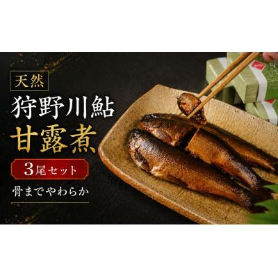 ふるさと納税 伊豆市 天然狩野川鮎の甘露煮　3本セット