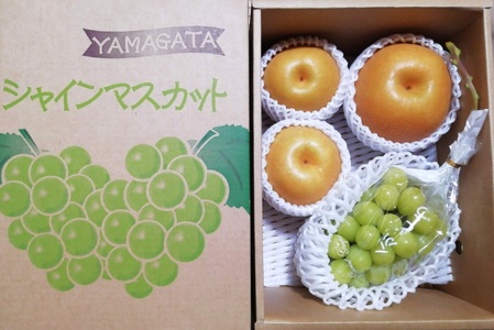 【直送便】完熟シャインマスカットと和梨セット（小）　0148-2611