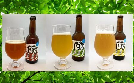 193 クラフトビール  定番6本セット (シズオカゴールデンエール/緑茶ペールエール/ほうじ茶ブラウンエール)　クラフトビール ご当地ビール ローカルビール 地ビール お酒 ビール ビアホップおおい