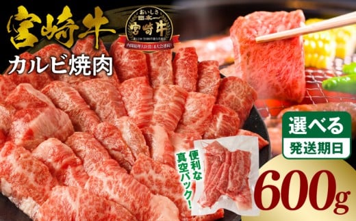 《2025年10月発送》宮崎牛カルビ(バラ)焼肉 合計600g_M365-001-02-oct