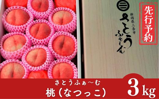 先行予約 桃 (なつっこ) 3kg 令和8年度 新潟県産 桃 [さとうファーム]【014S009】