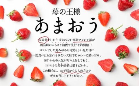 AB379.人気ナンバー1獲得★限定品★あまおう約810g（２０２６年１月以降配送）