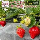 【ふるさと納税】いちご狩り 食べ放題ペアチケット 60分 大人1名+小学生1名 【2名様】 苺 イチゴ 高設栽培 体験 フルーツ狩り 果物狩り 利用券 チケット 九州 福岡 やすこうち農園 送料無料