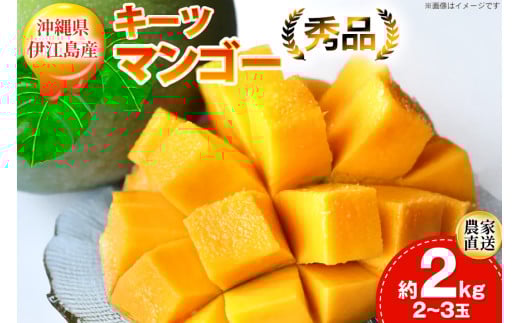 【期間限定発送】 キーツ マンゴー 秀品 約 2kg (2〜3玉) [伊江村マンゴー部会 沖縄県 伊江村 ie47bde320001] キーツマンゴー 沖縄 フルーツ 果物 甘い 夏 濃厚 Mango 果物 果実 くだもの