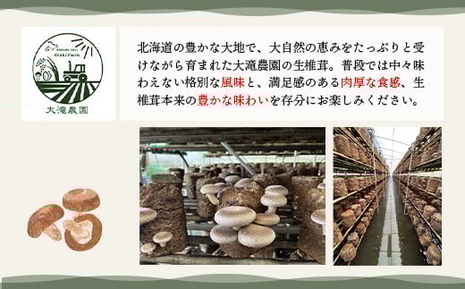 《数量限定》北海道恵庭産生しいたけ500g（訳あり品）