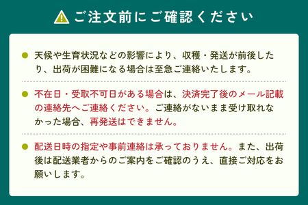 【2026・先行予約】二十世紀梨と旬の赤梨セット 4kg｜鳥取 果物 フルーツ なし 梨 品種はおまかせ 2026年収穫後【41039】