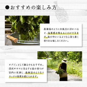 【先行受付】北海道芽室町産「白樺ヴィヒタ」2束　me055-002-2c