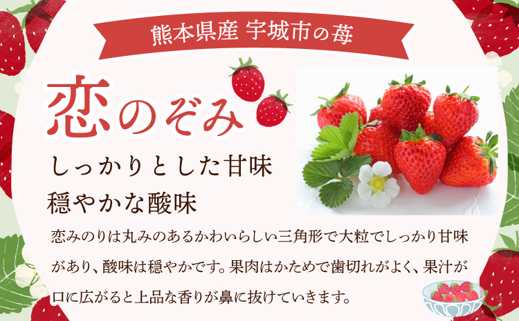 【2025年12月上旬〜2026年3月下旬頃発送予定】いちご 恋のぞみ 約400g×2パック 合計約800g
