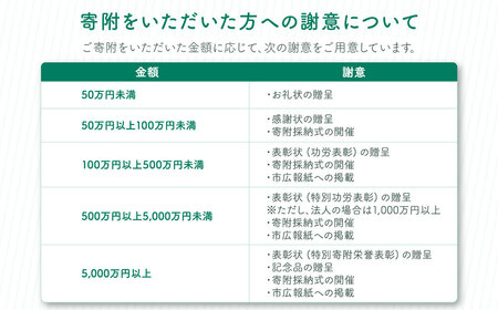 【返礼品なし】吾妻公園文化芸術施設整備事業　100万円：銘板(3号) 千葉　千葉県　木更津　木更津市 応援 銘板 吾妻公園　吾妻公園文化芸術施設整備事業　文化芸術施設 寄附のみ 支援 エール 寄付のみ