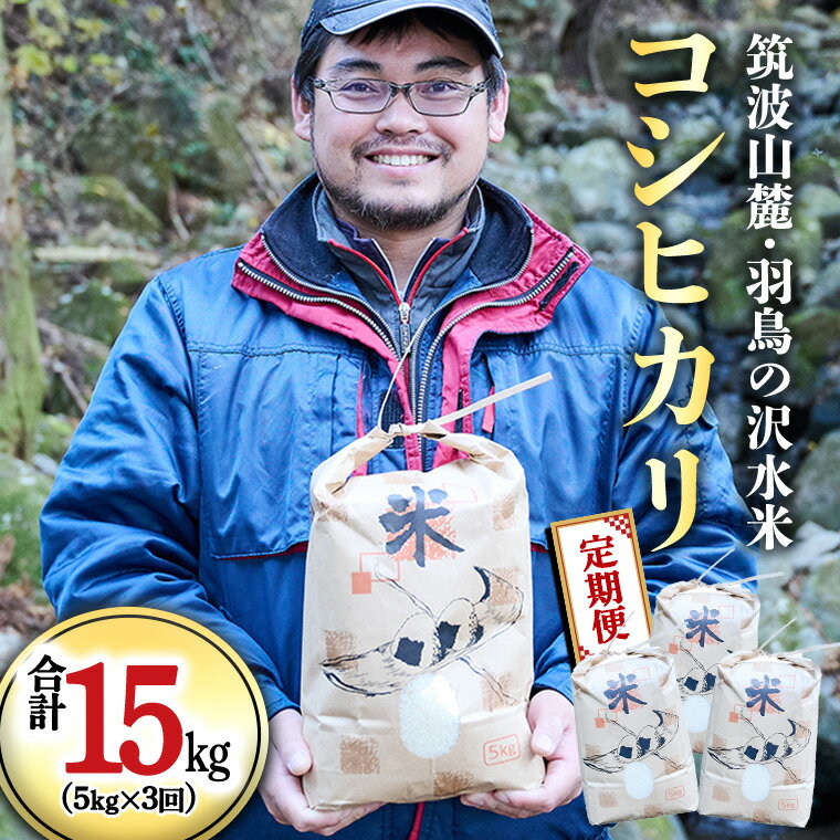 【ふるさと納税】令和8年産 新米 【3ヶ月定期便】 筑波山麓・羽鳥の沢水米 コシヒカリ 5kg × 3回 定期便 米 お米 コメ 精米 白米 桜川市 茨城県