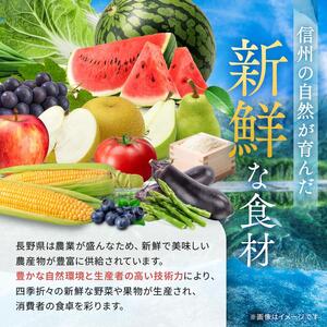 ながいも 約 10kg（6本～11本） | 野菜 やさい 長芋 ながいも 粘り お好み焼き ねばねば 食感 漬物 美容 長野県 塩尻市