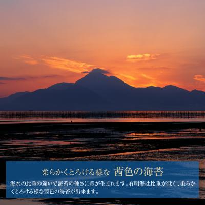 ふるさと納税 福智町 福岡有明のり一番摘み 大丸ボトル味海苔 10切80枚 4本セット |  | 03