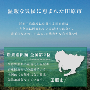 2027年《先行予約》タカミメロン 5玉 メロン めっくんはうす