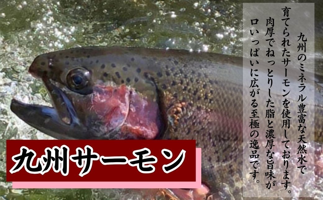 希少な済州島の真鯖とミネラル豊富な天然水で育てられた極上サーモンの食べ比べセット