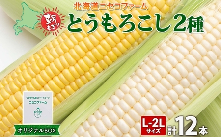 【 2025年 先行予約 】 北海道産 とうもろこし 2種 計12本 L-2L サイズ混合  味来 ロイシーコーン 食べ比べ セット 旬 朝採り 新鮮 トウモロコシ とうきび お取り寄せ 産地直送 野菜 しりべしや 送料無料